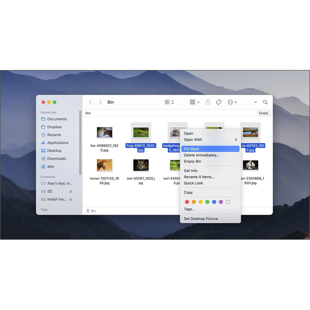 How to Recover Deleted Files from SD or MicroSD Card on Mac