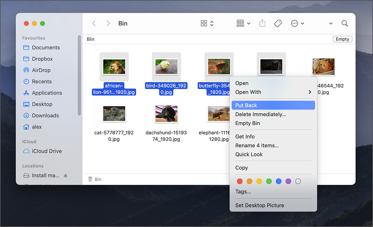 automatically restore deleted files mac automatically restore deleted files mac