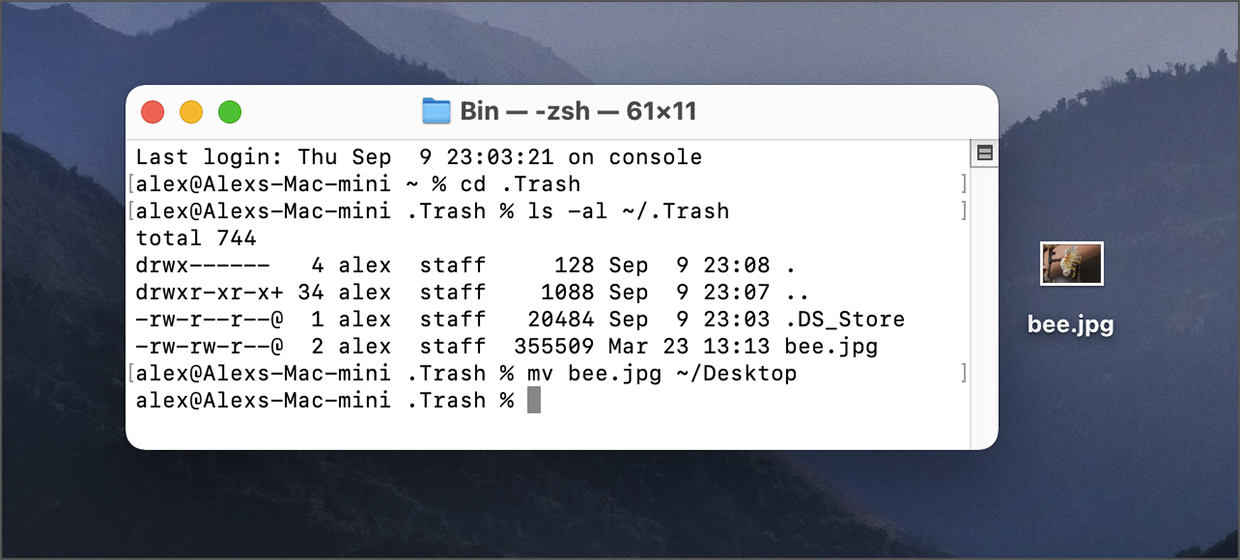 recover deleted files from trash mac command prompt