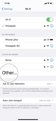 Ve a la sección WiFi y selecciona Otros