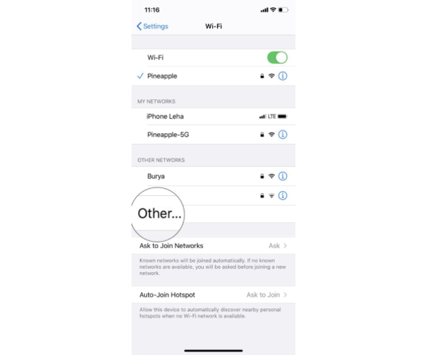 WiFi section — select Other